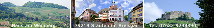 Ferienwohnung in Staufen im Breisgau und Fuße des Schwarzwald